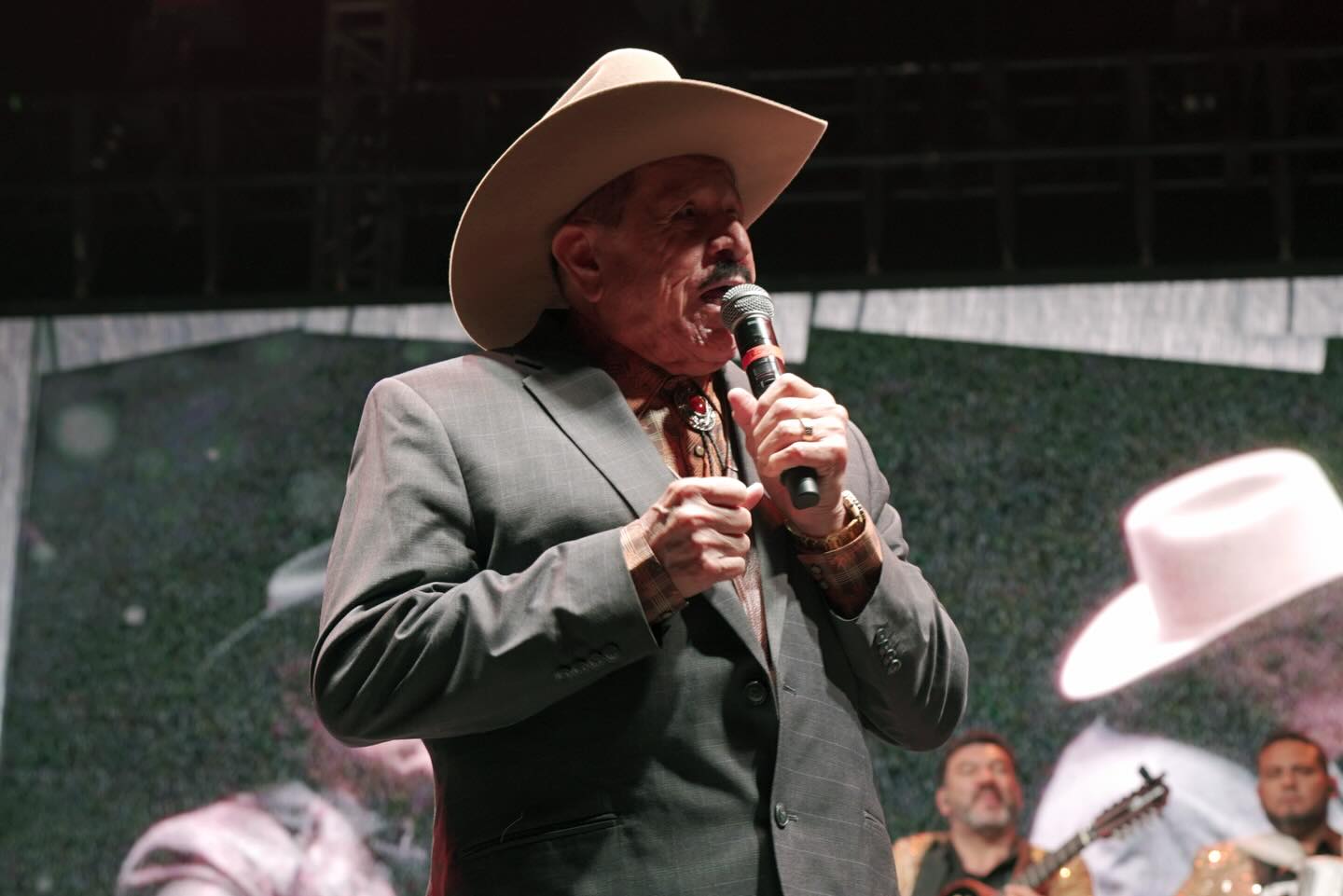 PALOMAZO NORTEÑO